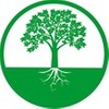 Power Tree Removal & Landscaping