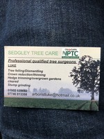 Sedgley tree care 