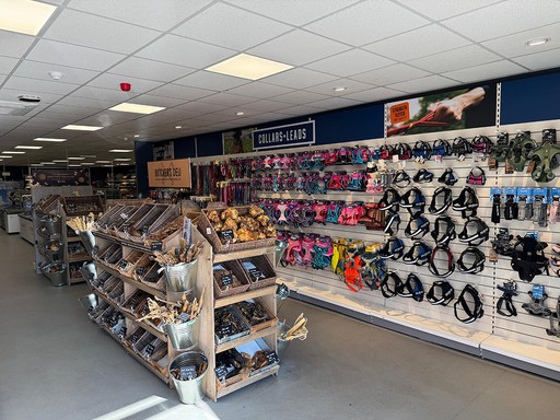 K9 Wellingborough Interior