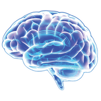 Hearing and Brain Centers of America - Long Island Tinnitus Relief