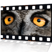 Kameleon Visual Ltd.