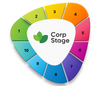 ESG Consulting Services