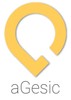 aGesic srl Logo