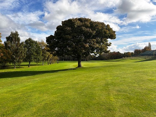 Tinsley Park Golf Course, a historic municipal course nestled in Sheffield, England, offers a diverse golfing experience. Established in 1906, this 6,336-yard, par-72 course features a captivating array of holes designed to challenge golfers of all skill levels.