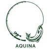 Aquina Flies
