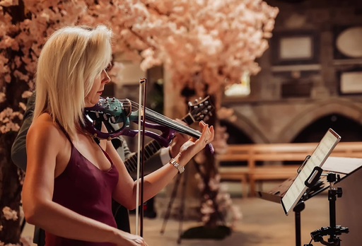 Wedding Violin