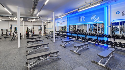 Free Weight Area