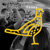 The Pheasant Inn Welshpool Logo