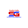 Studio Gallo s.a.s Logo