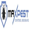 Bee Removal Brisbane