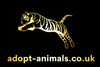 adopt-animals.co.uk