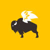 Buffalo Wild Wings 'GO'