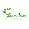 Santonicola Fruit Logo