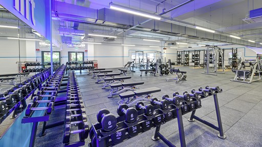 Free Weights Area