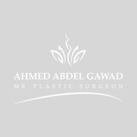 Mr Plastic Surgeon
