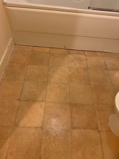 bathroom floor cleaning