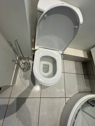 toilet descaling