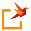 Bird flying out of a box, symbolizing freedom