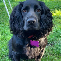 Firtree Pet Crematorium