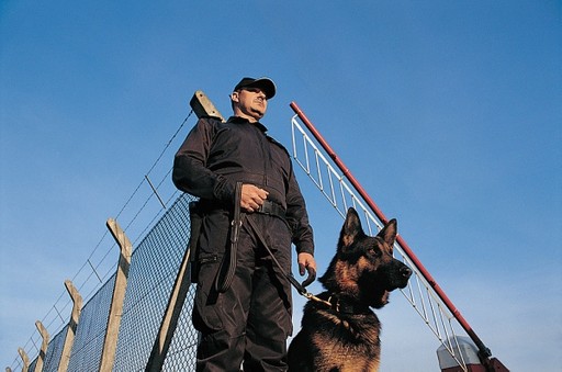 Dog Handler Security