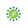 KiwiQA Services