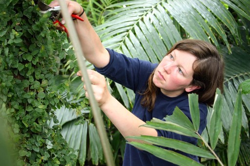 How to Become a Landscaper UK