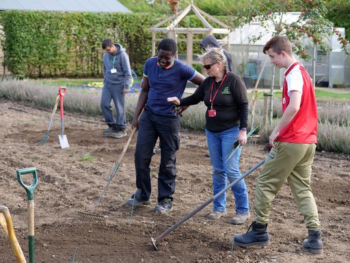 Landscaping Apprenticeship