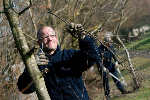 Landscaping as a Career