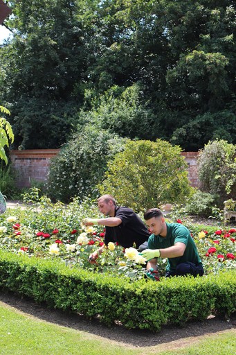 Landscaping as a Career