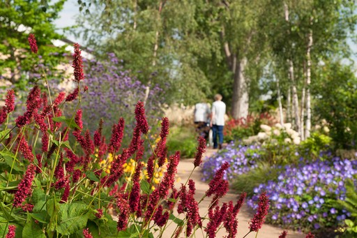 Landscape Design