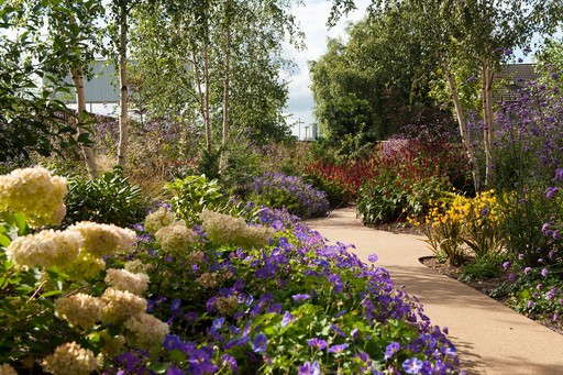 Landscape Design