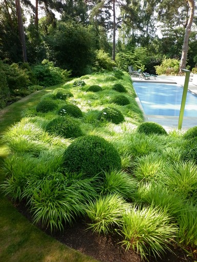 Landscape Design