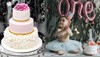 Find Cake Delivery in Delhi