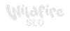 Wildfire SEO