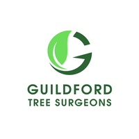 Tree Surgeon Surrey - Guildford Tree Surgeons