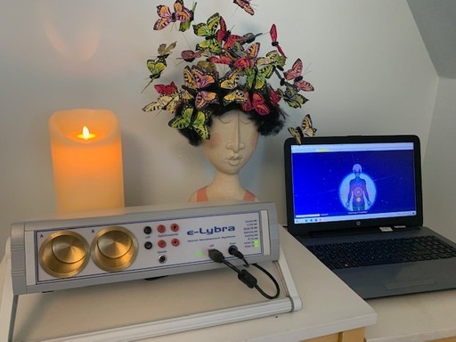 E-Lybra system