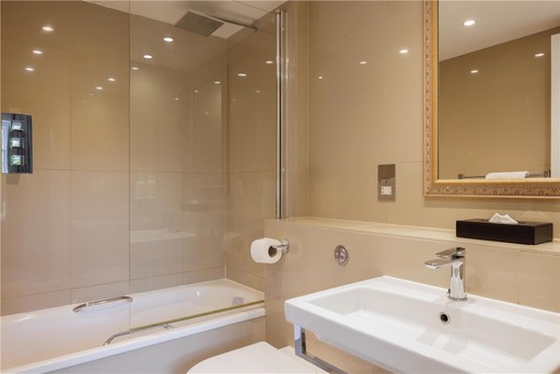 Superior Room Bathroom