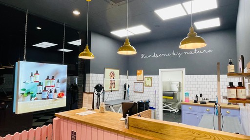 Dogwood Dorking Interior