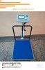 A12 Electronic Platform Weighing Scales Supplier