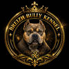 Breizh Bully Kennel Logo